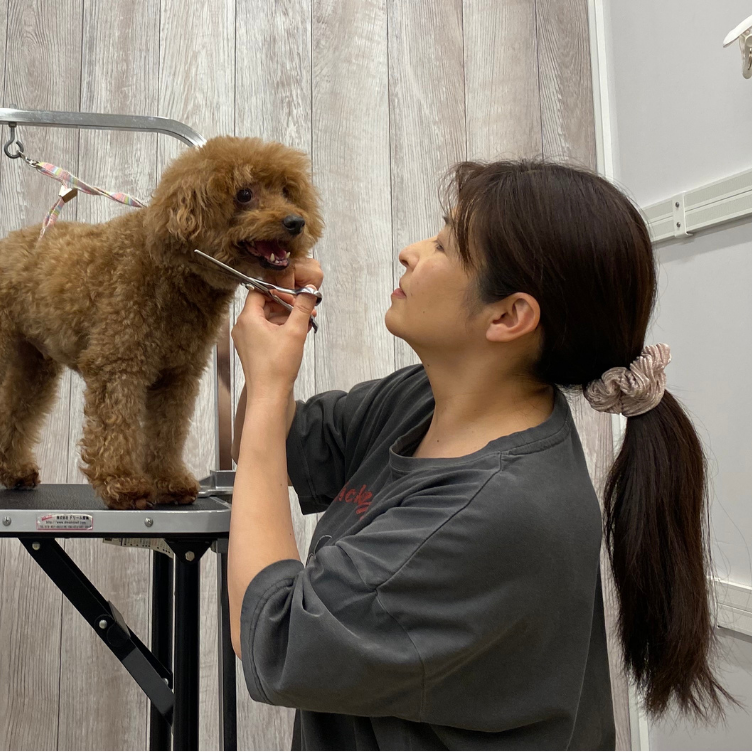 トリマー佐々木わかこ